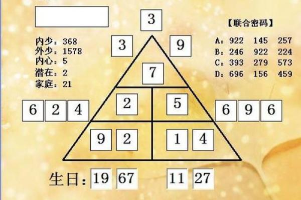 2023年,解密12生卯兔的命运密码与性格分析 2023年,解密12生卯兔的命运密码与性格分析