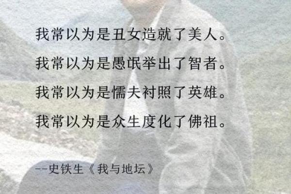 2012年12月的命运与启示：探寻生活中的深刻哲理