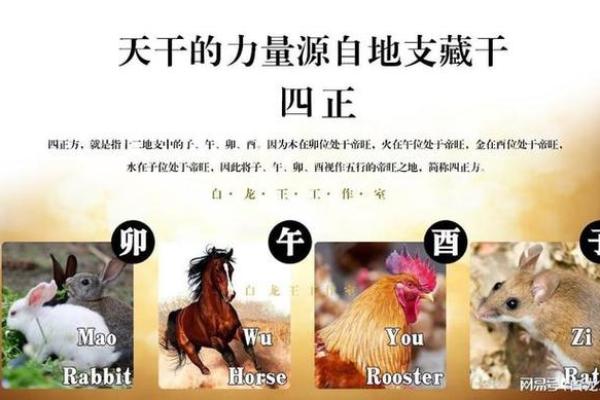 命理解读：三颗桃花星的神秘力量与命运影响