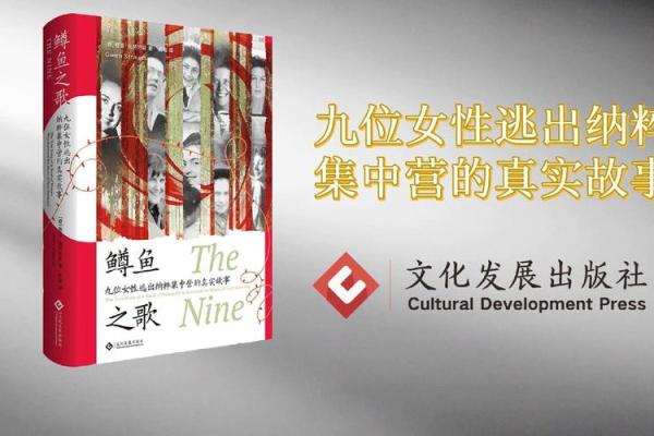 揭开女性高阶命格的神秘面纱：生活中的智慧与力量