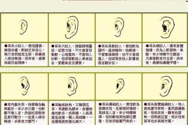 鼻子鼻梁塌的面相解析:命运与性格的深刻联系 鼻子鼻梁塌的面相解析:命运与性格的深刻联系