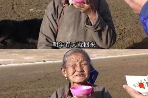 1996年出生的人：桀骜不驯的命运与丰富内心的探索之旅