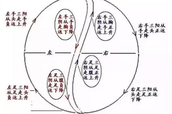 揭秘眉毛中间断的奥秘：命理与生活的深层关联