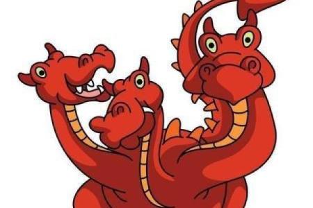 龙28号出生的人命运分析与生活指南