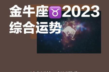 探秘中平偏上命格：命理中的稀有宝藏与人生智慧