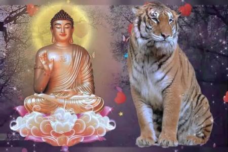 1974年属虎的命运与性格分析：探索虎年人的独特魅力与挑战