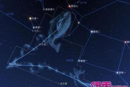 1967年的命格解析：揭示属羊者的独特人生轨迹与智慧