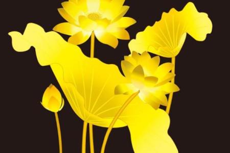 癸亥金命：选择最适合的山头，助你运势提升！