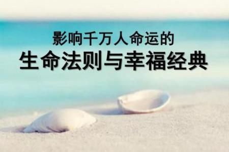 一命与两命的区别：生命的深刻探讨与哲学思考