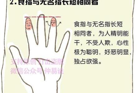 辰时出生的属狗人：性格与命运的深度解析