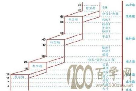 木牛命：适合哪些行业与职业发展方向？