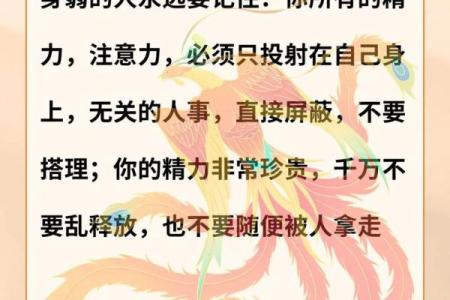 在10月20日，如何利用命理提升运势与智慧