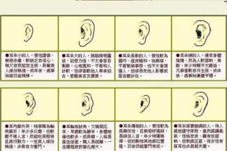 鼻子鼻梁塌的面相解析：命运与性格的深刻联系