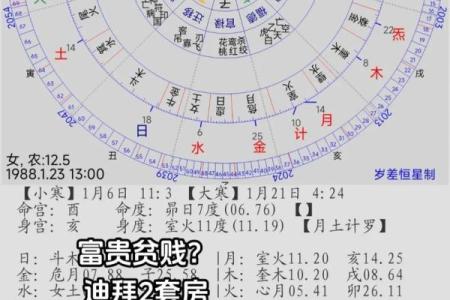 探秘女子命格：了解你的命理与人生发展之路