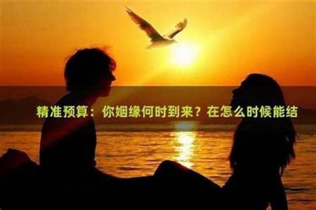 揭秘眉毛中间断的奥秘：命理与生活的深层关联