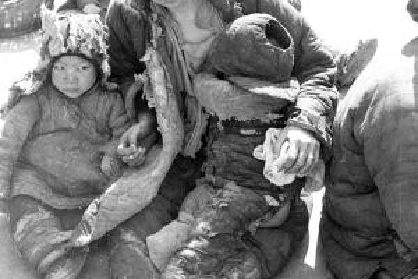 探索1987年3月命运的跟随与启示：历史中的选择与反思