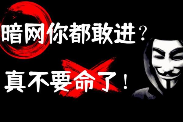 揭开虚命的面纱：探寻生活的真实意义与价值