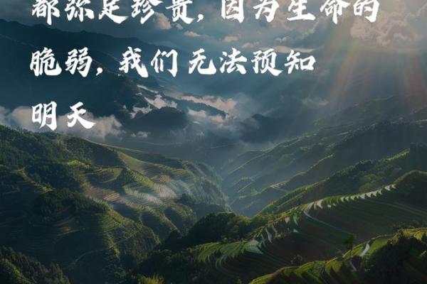 被车撞命的象征与启示：生命的脆弱与珍贵