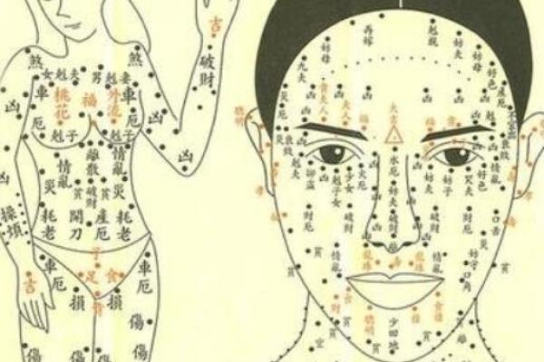 如何查询自己的命运与运势，掌握人生方向的秘诀