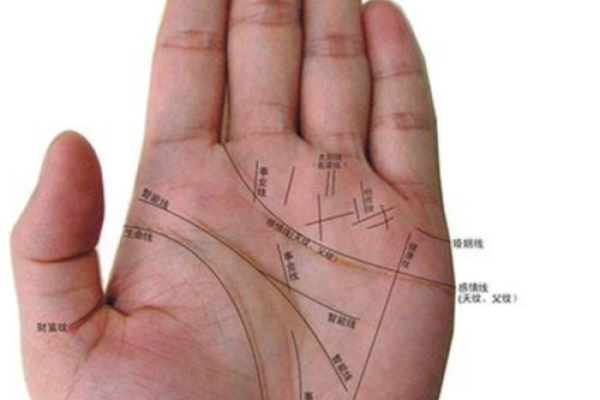 如何查询自己的命运与运势，掌握人生方向的秘诀