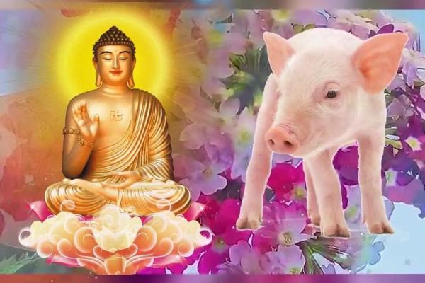 八三属猪之命：命运与性格的深度解析