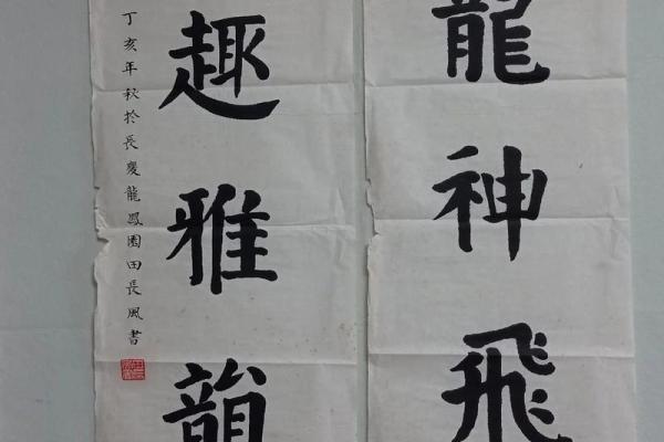 金命者书法的最佳选择与艺术魅力探讨 金命者书法的最佳选择与艺术魅力探讨