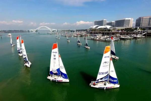 金鸡命在城市发展的最佳选择，探秘适合的城市环境与机会！