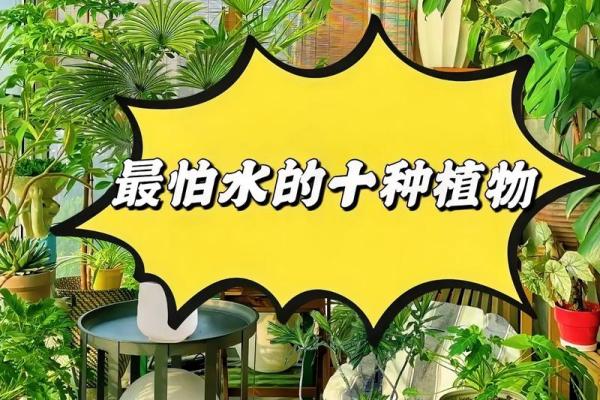 爱养花的人，命里藏花缘：解读那些热爱花卉的人生哲学