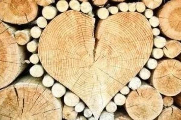 花草木命与适合佩戴的饰物指导