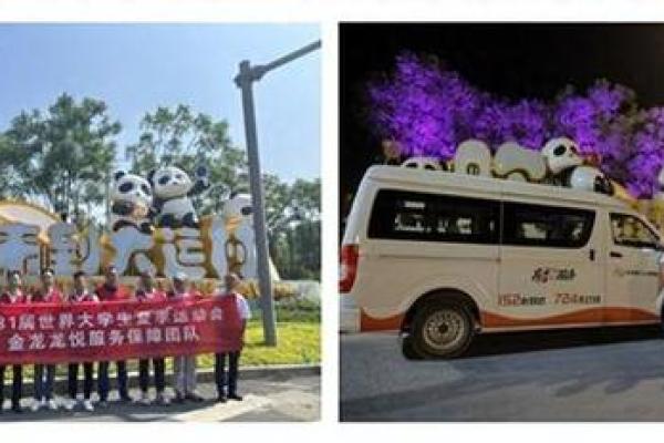 金龙之命：探索适合你的职业方向与发展机遇