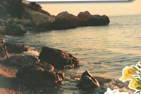 探索君子命的深意：智慧与品德的结合