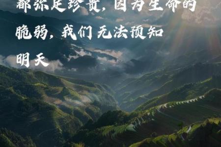 被车撞命的象征与启示：生命的脆弱与珍贵