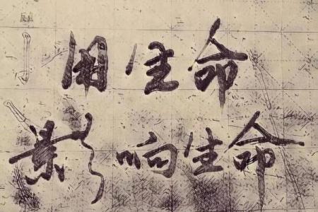 命强与命弱性格区别解析：你是哪种命运的掌舵者？