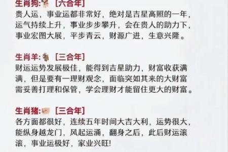 揭开生肖秘密：如何通过生肖自查你的命运与人生道路