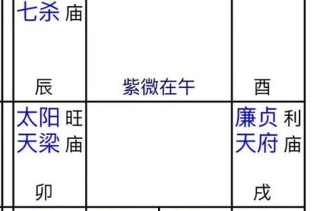 探寻紫微命盘中的煞星奥秘，解析命运的隐秘力量