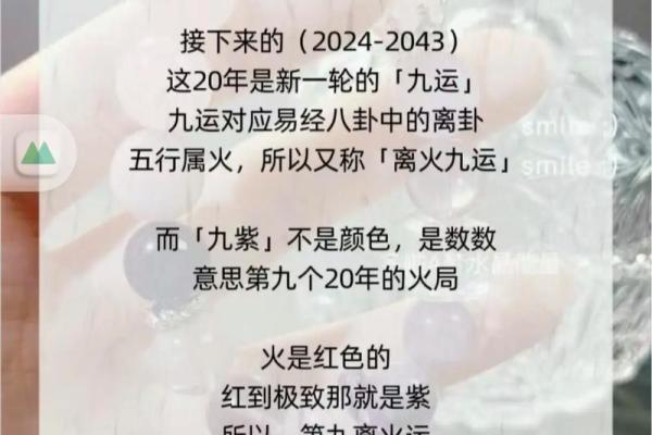 2024甲辰年：探秘龙年命运与生肖特点的全新旅程