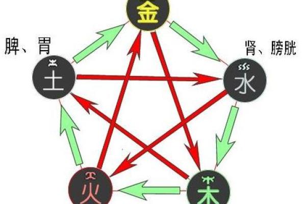 木猪与火命水命妻子的奇妙缘分探析