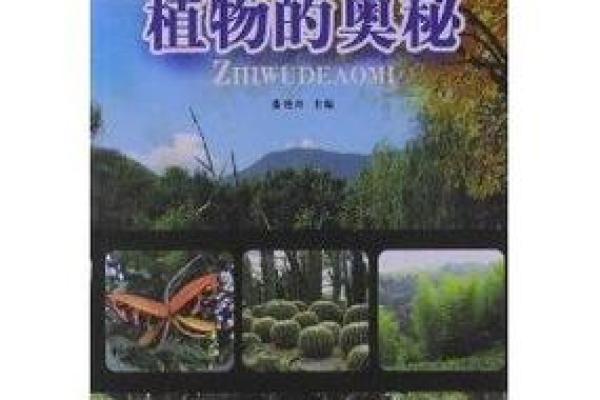 揭秘姓名27画的命运密码：探寻人生的奥秘与意义