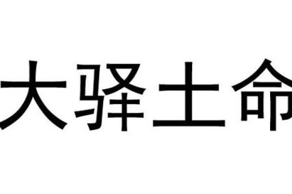 木命与土命：如何选择适合的行业以助旺发展