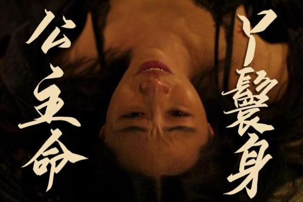 公主的优雅与丫鬟的奉献：不凡的命运交错之旅