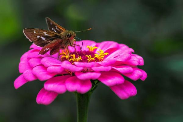 大池水命适合的小颜色，带你洞察生命之美！
