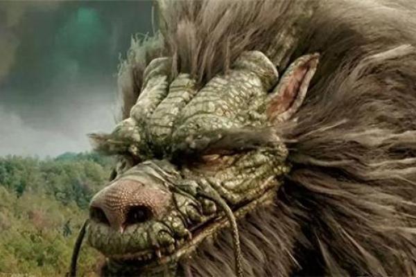 揭开龙的第四条命之谜：命运与生活的细腻交织