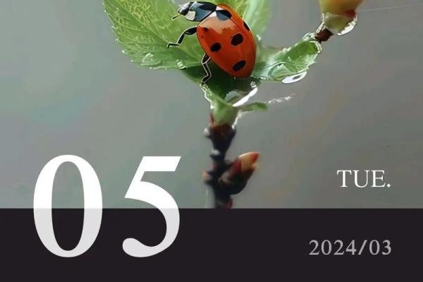 惊蛰出生的命运：探寻春雷唤醒的灵魂之旅