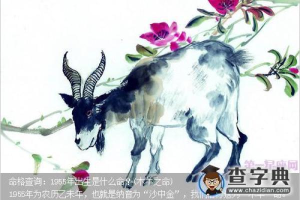 五行沙中金命最佳配命解析：打造完美人生的秘诀