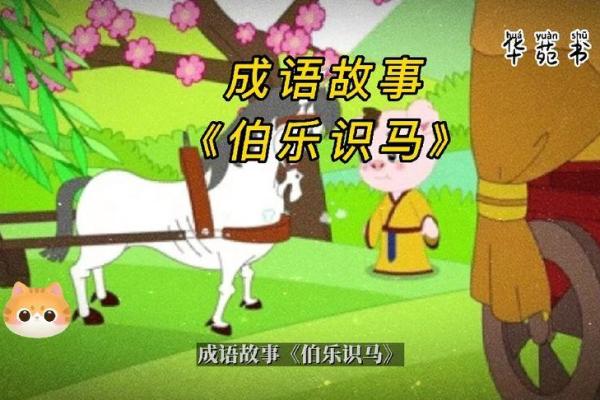 根据命喜花，成语解析与生活启示