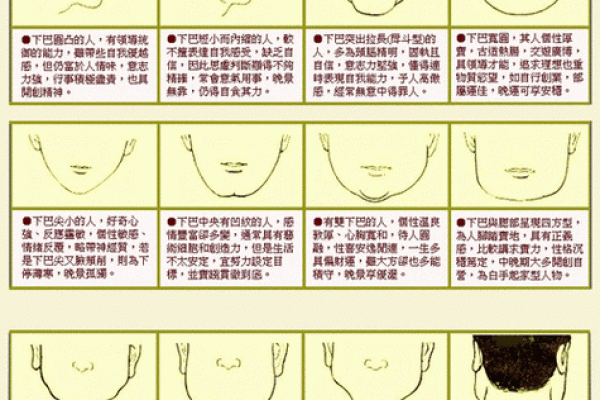 扁平鼻子的女性与命运的秘密：探索面相背后的智慧与运势