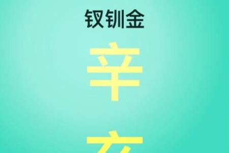 辛亥日柱女命的最佳配偶选择：找到你的命中注定之人!