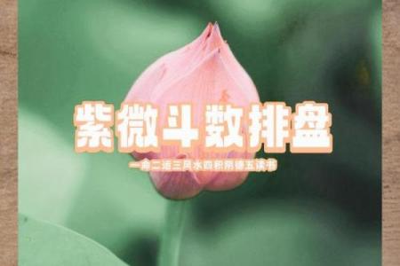 命主文曲身主天相：解读命格的奥秘与人生方向
