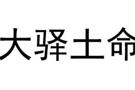 木命与土命：如何选择适合的行业以助旺发展