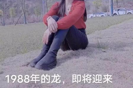 揭开龙的第四条命之谜：命运与生活的细腻交织